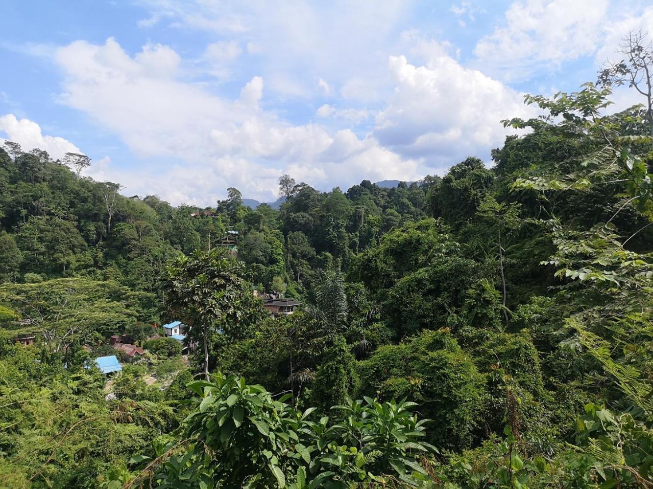 Thejungleguide - Lodges & Treks بوكيت لاوانج المظهر الخارجي الصورة