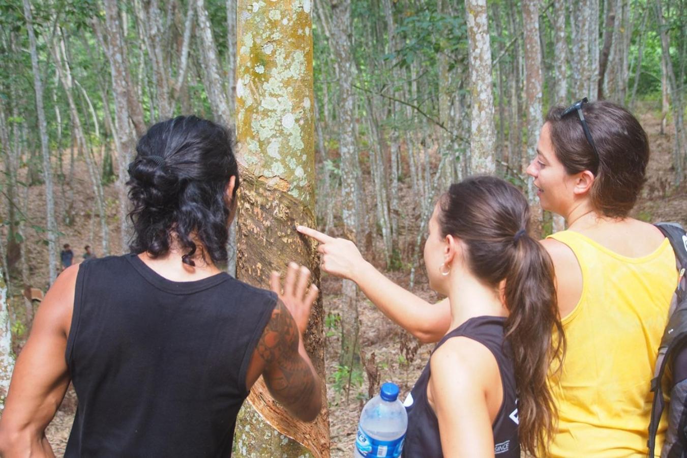 Thejungleguide - Lodges & Treks بوكيت لاوانج المظهر الخارجي الصورة