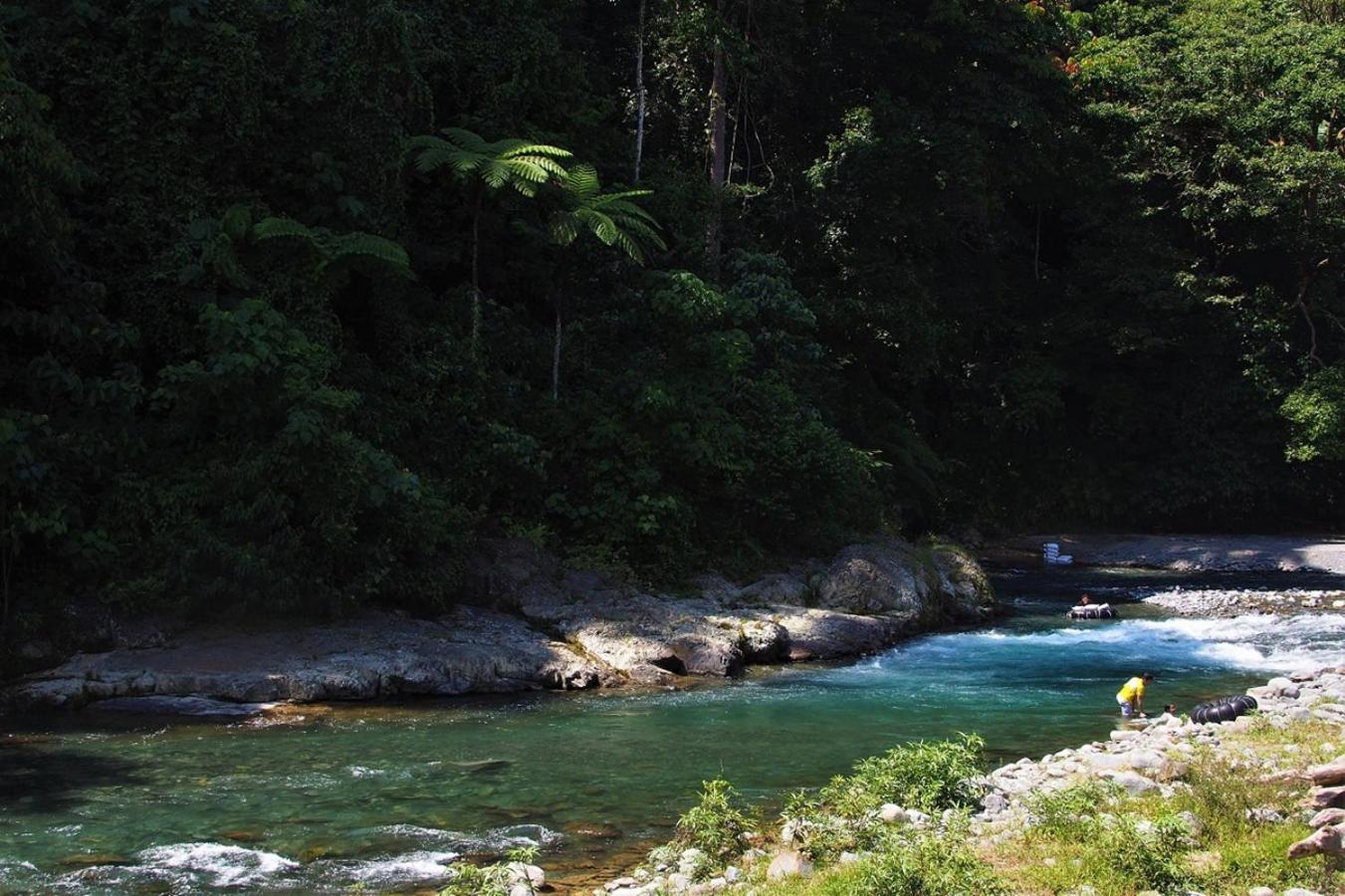 Thejungleguide - Lodges & Treks بوكيت لاوانج المظهر الخارجي الصورة