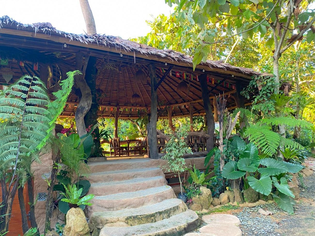 Thejungleguide - Lodges & Treks بوكيت لاوانج المظهر الخارجي الصورة